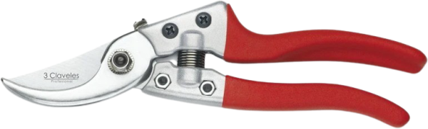 350523.png